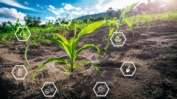 Smart farming in action