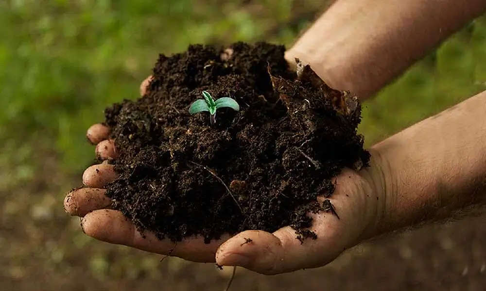 Healthier Soil