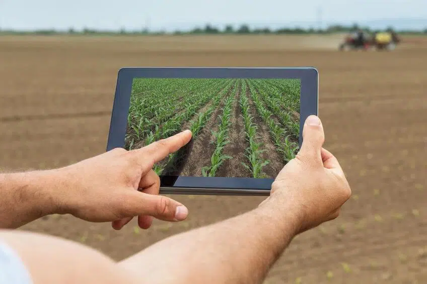 Accurate Yield Predictions